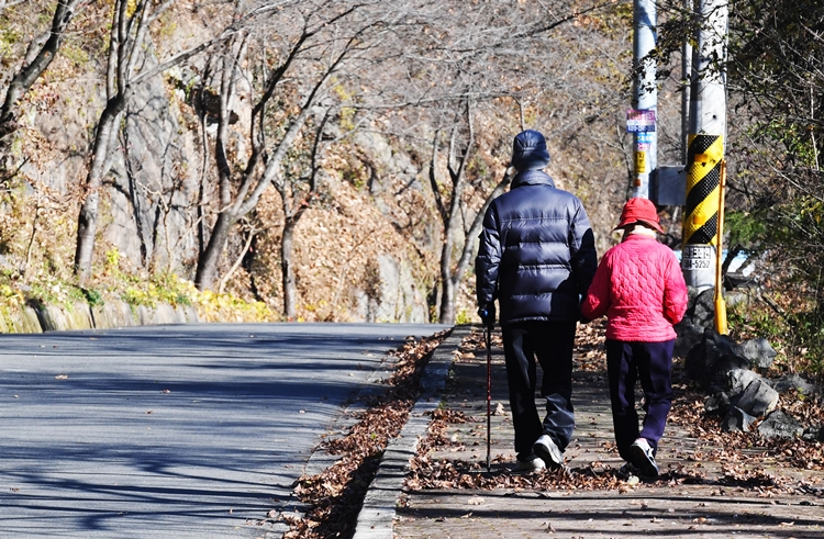 지난해 11월22일 경남 함안군 함안면 입곡군립공원에서 노부부가 낙엽이 떨어진 산책로를 손을 맞잡고 걷고 있다. <사진=뉴시스>