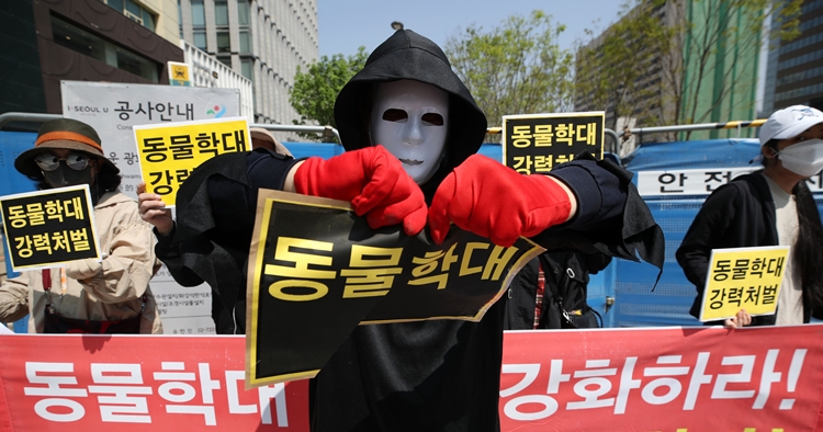 지난 4월20일 서울 종로구 광화문 사거리에서 한국동물보호연합 회원들이 기자회견을 열고 동물학대 강력처벌을 촉구하는 퍼포먼스를 하고 있는 모습. <사진=뉴시스>