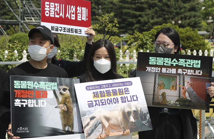 동물권단체 회원들이 지난 5월 서울 여의도 국회 앞에서 동물학대 동물원 규탄 및 동물원·수족관법 개정 촉구 기자회견을 하고 있다. <사진=뉴시스>