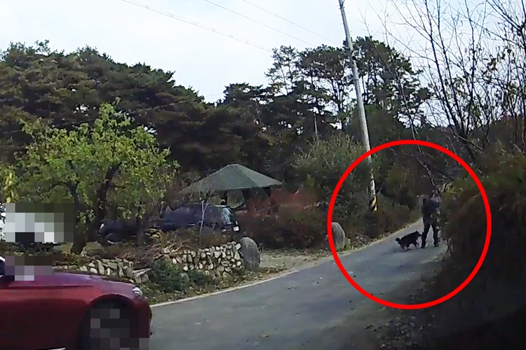 지난 5일 오후 경북 성주군에 거주하던 60대 A씨가 이웃집 개에게 다리를 물린 상황. <사진=온라인 커뮤니티 화면 갈무리>