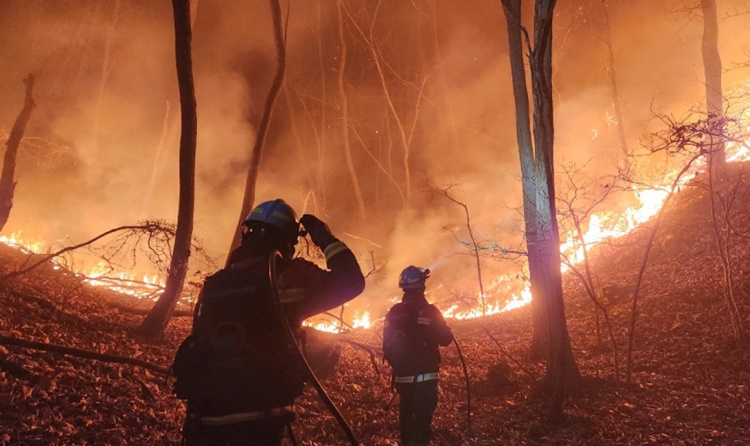 지난해 3월16일 경북 상주시의 한 야산에서 산불이 발생해 소방대원들이 진화작업을 벌이고 있다. <사진=뉴시스, 산림청>